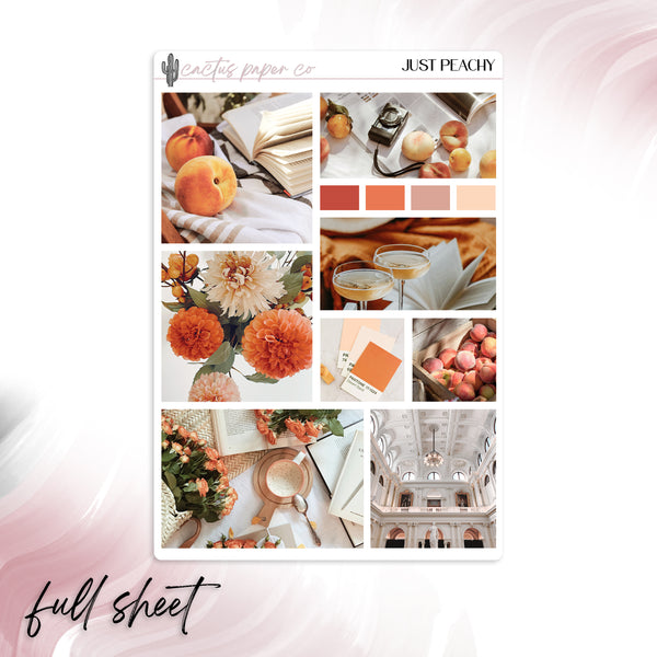 JUST PEACHY PHOTO BOXES